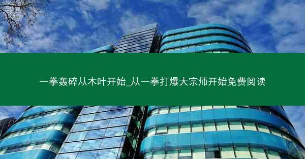 一拳轰碎从木叶开始_从一拳打爆大宗师开始免费阅读