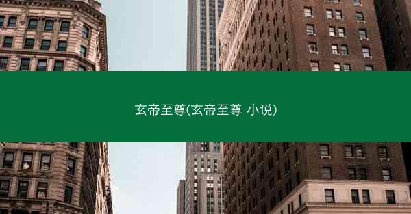 玄帝至尊(玄帝至尊 小说)