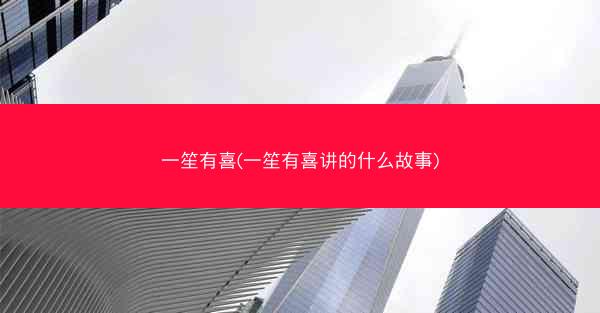 一笙有喜(一笙有喜讲的什么故事)