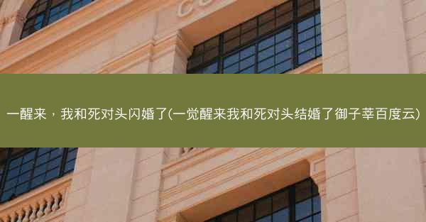 一醒来，我和死对头闪婚了(一觉醒来我和死对头结婚了御子莘百度云)