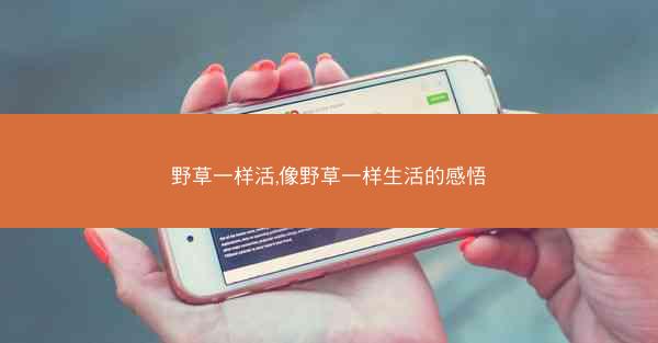 野草一样活,像野草一样生活的感悟