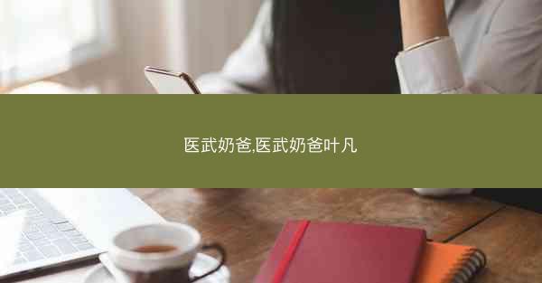 医武奶爸,医武奶爸叶凡