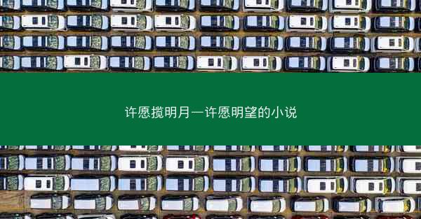 许愿揽明月—许愿明望的小说