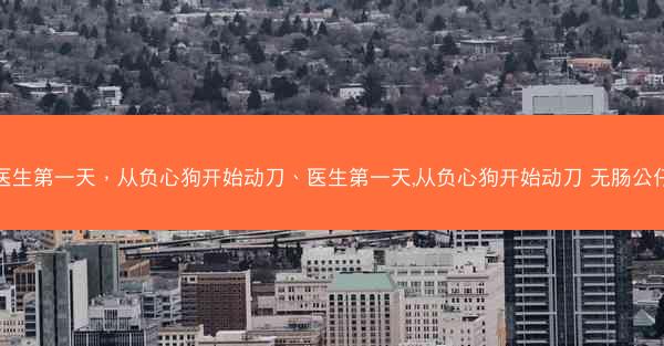 医生第一天，从负心狗开始动刀、医生第一天,从负心狗开始动刀 无肠公仔