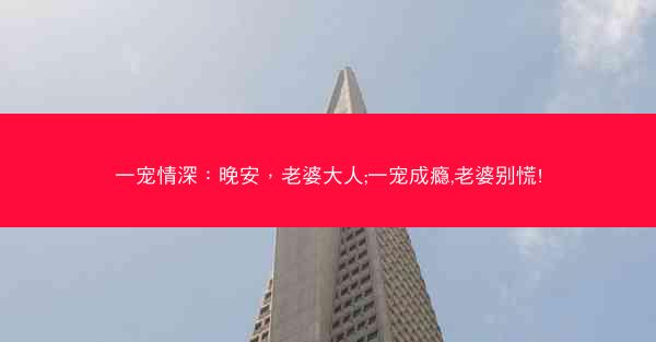 一宠情深：晚安，老婆大人;一宠成瘾,老婆别慌!