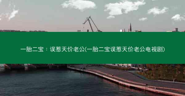一胎二宝：误惹天价老公(一胎二宝误惹天价老公电视剧)