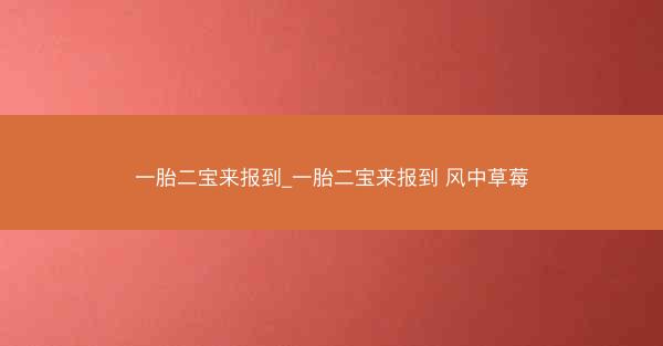 一胎二宝来报到_一胎二宝来报到 风中草莓