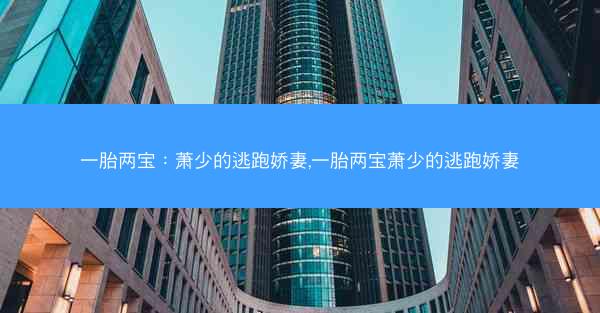 一胎两宝：萧少的逃跑娇妻,一胎两宝萧少的逃跑娇妻