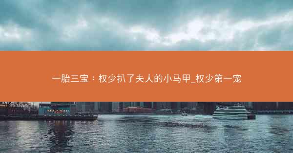 一胎三宝：权少扒了夫人的小马甲_权少第一宠
