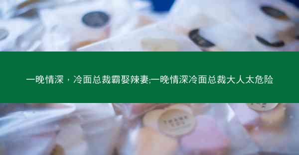 一晚情深，冷面总裁霸娶辣妻;一晚情深冷面总裁大人太危险
