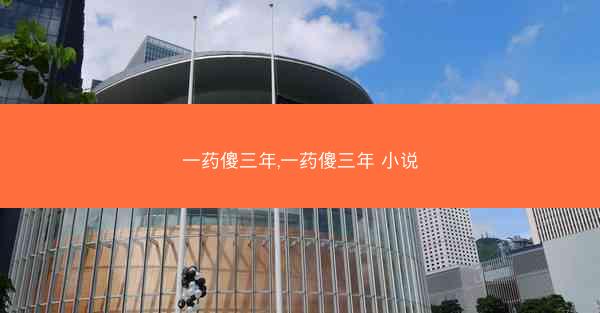 一药傻三年,一药傻三年 小说