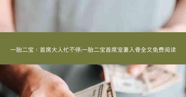 一胎二宝：首席大人忙不停;一胎二宝首席宠妻入骨全文免费阅读