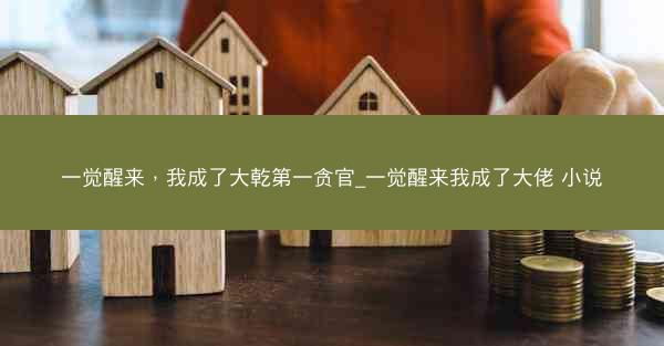 一觉醒来，我成了大乾第一贪官_一觉醒来我成了大佬 小说