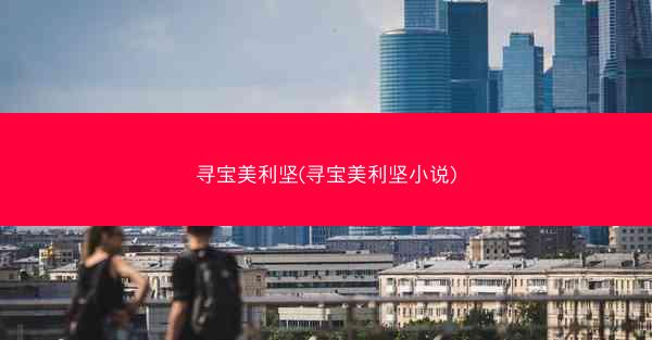 寻宝美利坚(寻宝美利坚小说)