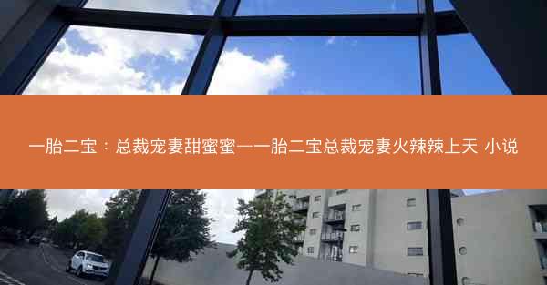 一胎二宝：总裁宠妻甜蜜蜜—一胎二宝总裁宠妻火辣辣上天 小说