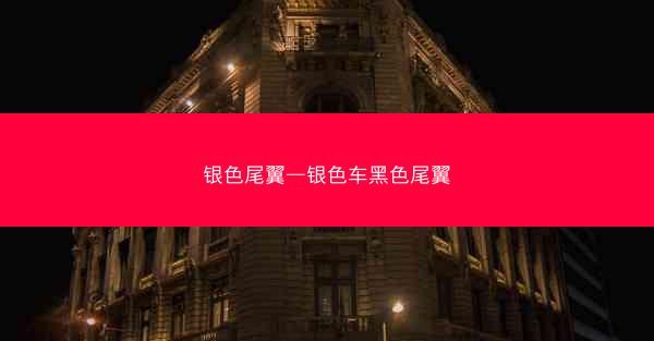 银色尾翼—银色车黑色尾翼