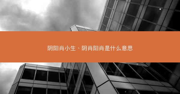 阴阳肖小生、阴肖阳肖是什么意思