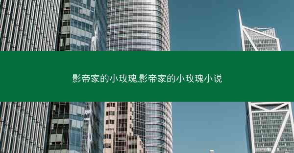 影帝家的小玫瑰,影帝家的小玫瑰小说